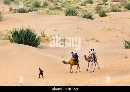 I turisti a cavallo di cammelli su Sam dune nel deserto parco nazionale nel Grande deserto di Thar,vicino a Jaisalmer, Rajasthan, India Foto Stock