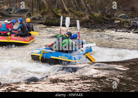 White water rafting un popolare la creazione di un team o gruppo attività sul fiume Dee o Afon Dyfrdwy Foto Stock