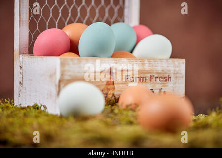 Azienda agricola freschi uova di pasqua nel cesto e su moss nella parte anteriore della parete marrone Foto Stock