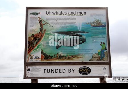 Informazioni Poster su balene a Walvis Bay in Namibia Foto Stock