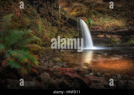 Signora cade Sgwd Gwladus cascata il fiume Afon Pyrddin vicino Pontneddfechan, South Wales, noto come paese a cascata Foto Stock