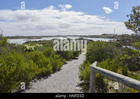 Percorso attraverso le piante verdi che circondano un lago salato a Rottnest Island in Australia Occidentale Foto Stock