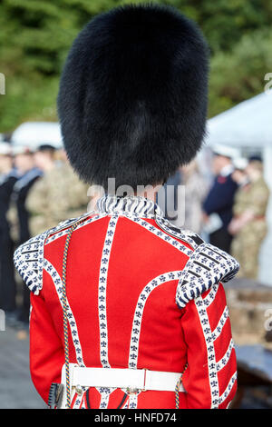 Irlandese guardie guardsman in pieno uniforme del vestito con bearskin hat dalla parte posteriore dell'Irlanda del Nord Foto Stock