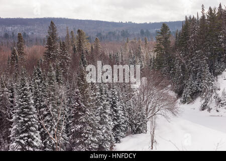 La neve a punta all'interno del paesaggio Arrowhead Parco Provinciale affacciato sul Big Bend dove il fiume fa una curva stretta attraverso la foresta in provincia Foto Stock