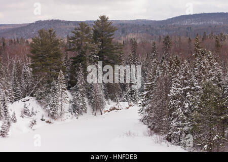 La neve a punta all'interno del paesaggio Arrowhead Parco Provinciale affacciato sul Big Bend dove il fiume fa una curva stretta attraverso la foresta in provincia Foto Stock