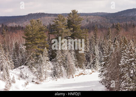 La neve a punta all'interno del paesaggio Arrowhead Parco Provinciale affacciato sul Big Bend dove il fiume fa una curva stretta attraverso la foresta in provincia Foto Stock