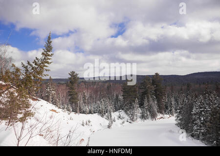 La neve a punta all'interno del paesaggio Arrowhead Parco Provinciale affacciato sul Big Bend dove il fiume fa una curva stretta attraverso la foresta in provincia Foto Stock