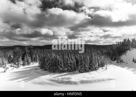 La neve a punta all'interno del paesaggio Arrowhead Parco Provinciale affacciato sul Big Bend dove il fiume fa una curva stretta attraverso la foresta in provincia Foto Stock