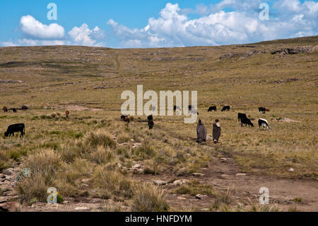 La scalata di Sentinal escursione sull'Anfiteatro Royal Natal National Park Kwazulu Natal Sud Africa Foto Stock