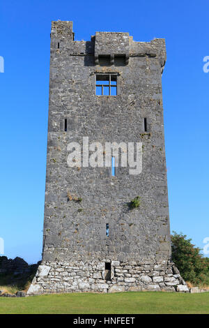 Le rovine di una torre del XVI secolo il castello Shanmuckinish nella contea di Clare, Irlanda Foto Stock