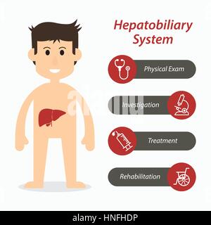 Sistema epatobiliare e medical icona linea Illustrazione Vettoriale