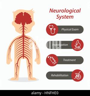 Sistema neurologico e medical icona linea Illustrazione Vettoriale