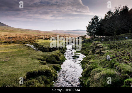 Un piccolo fiume che corre attraverso il terreno paludoso su terreni accidentati Tor, designato come una zona di straordinaria bellezza naturale a Bodmin Moor in Cornovaglia. Foto Stock