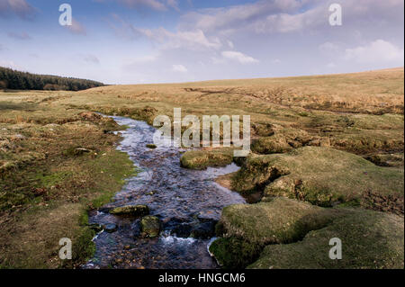 Un piccolo fiume che corre attraverso il terreno paludoso su terreni accidentati Tor, designato come una zona di straordinaria bellezza naturale a Bodmin Moor in Cornovaglia. Foto Stock