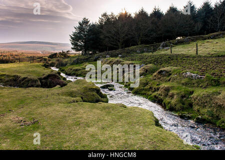 Un piccolo fiume che corre attraverso il terreno paludoso su terreni accidentati Tor, una zona designata come una zona di straordinaria bellezza naturale a Bodmin Moor in Cornovaglia. Foto Stock
