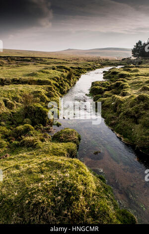 Un piccolo fiume che corre attraverso il terreno paludoso su terreni accidentati Tor, designato come una zona di straordinaria bellezza naturale a Bodmin Moor in Cornovaglia. Foto Stock