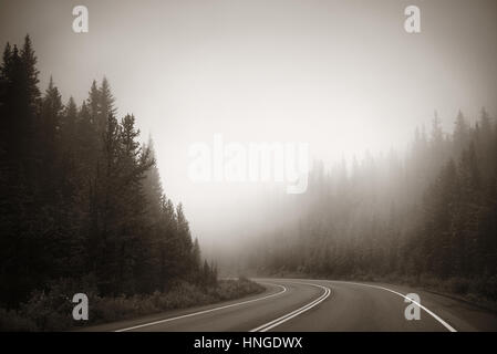 Strada di nebbia al tramonto nel Parco Nazionale di Banff Foto Stock