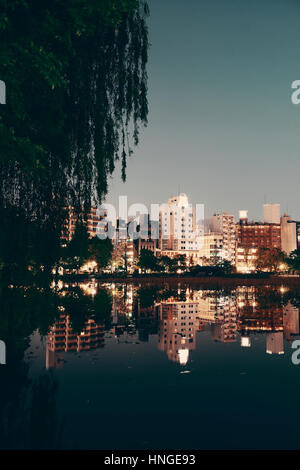 Il parco Ueno a Tokyo di notte con il lago di riflessione, Giappone. Foto Stock