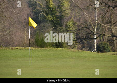 Un putting green e bandiera a Reigate Hill Golf Club, Surrey, Regno Unito Foto Stock