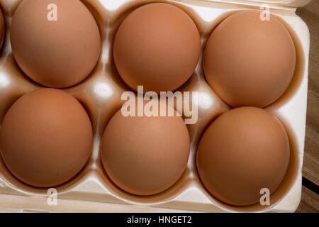 Marrone uova di pollo in una scatola di cartone Foto Stock