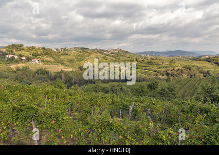 Rurali paesaggio mediterraneo con Smartno villaggio medievale e vigneti. Regione Brda in Slovenia occidentale. Foto Stock