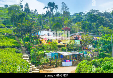 HAPUTALE, SRI LANKA - 30 novembre 2016: le case residenziali in piccolo insediamento sul bordo della città, il 30 novembre a Haputale, Sri Lanka Foto Stock