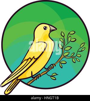Canary bird. Arte animale, Cartoon carino stile, vettore disegnati a mano illustrazione. Adatti per il pet shop o zoo annunci, design di etichetta o un animale confezione per alimenti ele Illustrazione Vettoriale