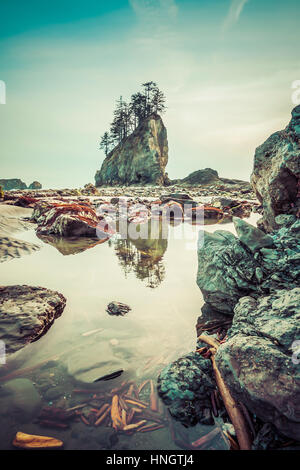 Stack di mare nel tramonto,vista panoramica della seconda spiaggia in mt il parco nazionale di Olympic,Washington,STATI UNITI D'AMERICA. Foto Stock