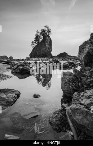 Stack di mare nel tramonto,vista panoramica della seconda spiaggia in mt il parco nazionale di Olympic,Washington,STATI UNITI D'AMERICA. Foto Stock