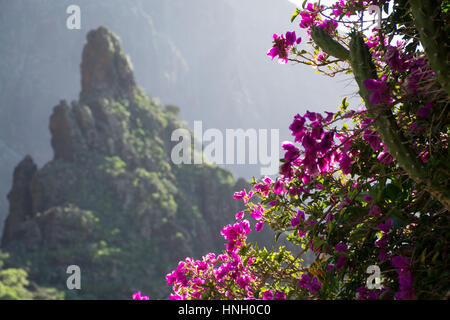 La natura nel villaggio di Masca, Tenerife - palme e montagne Foto Stock