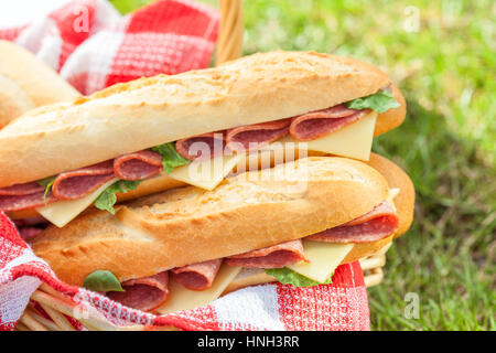 Lungo la baguette panini con salame e formaggio per un picnic Foto Stock