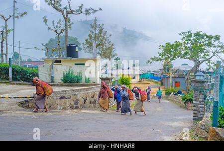 HAPUTALE, SRI LANKA - Novembre 30, 2016: i raccoglitori di tè tornare alla fabbrica dopo il lavoro in piantagioni, il 30 novembre a Haputale Foto Stock