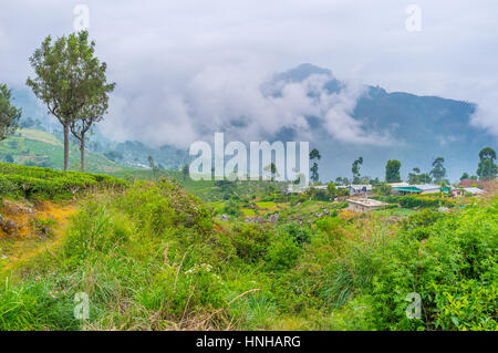 La scena rurale con piccolo villaggio e le montagne nella nebbia sullo sfondo, Haputale, Sri Lanka Foto Stock