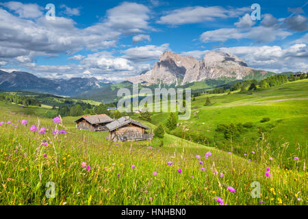 Bella vista della montagna idilliaco paesaggio di montagna con un tradizionale vecchio chalet di montagna e freschi prati verdi in una giornata di sole, Alpe di Siusi, Italia Foto Stock