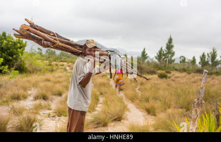 Giovane uomo malgascio camminando sulla pista di fondo portante di legno secco. La vita quotidiana delle persone che vivono nelle zone rurali dei pescatori europee in Madagascar Foto Stock