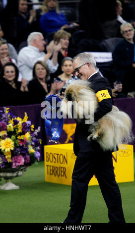 La città di New York, 13 febbraio 2017. "Chuckie' un Pekingese chi ha vinto la divisione giocattolo essendo portato dall'anello dopo la sua vittoria alla 141annuale di Westminster Dog Show al Madison Square Garden a New York City nel febbraio 13th, 2017. Credito: Adam Stoltman/Alamy Live News Foto Stock