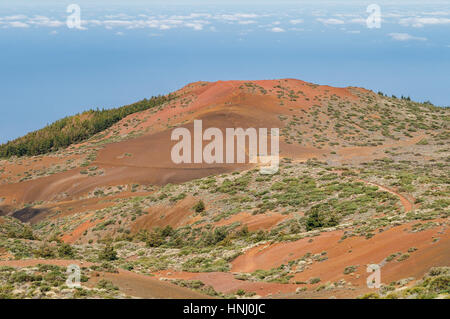 Paesaggio colorato di El Parco Nazionale del Teide, Tenerife, Isole canarie, Spagna Foto Stock