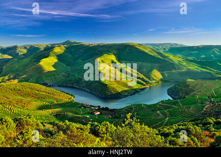 Vista panoramica a valle del Douro in Portogallo settentrionale Foto Stock