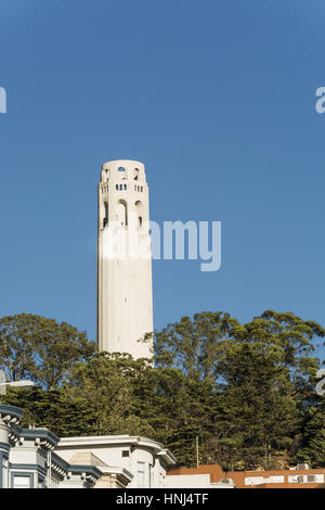 La Torre Coit fotografato dal lato est del colle del telegrafo in Nord area della spiaggia di San Francisco, California, Stati Uniti d'America. Foto Stock