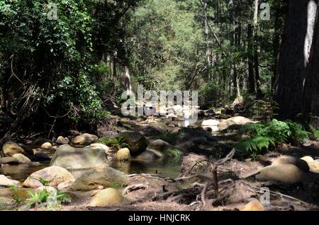 Guardando a monte savana Australiana fiume Foto Stock