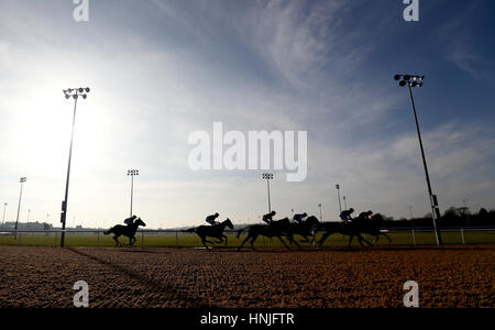 I corridori e i piloti si stagliano come essi attorno alla prima curva durante la 32Red Casino Maiden FilliesÂ' picchetti a Wolverhampton Racecourse. Foto Stock