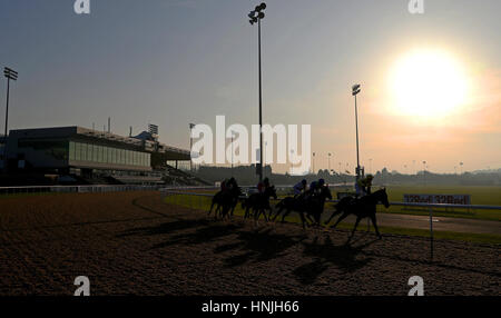 Guide e piloti intorno alla prima curva del Betway Handicap a Wolverhampton Racecourse. Foto Stock