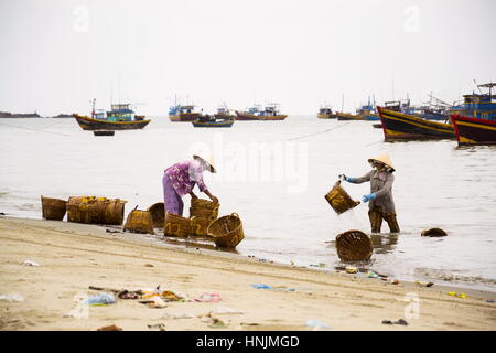 MUI NE, VIETNAM - febbraio 7: Donna di cestelli di lavaggio per le acciughe utilizzato per la salsa di pesce il 7 febbraio 2012 in Mui Ne, Vietnam. Foto Stock