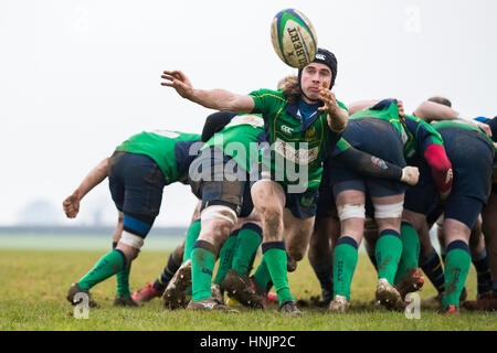 A nord del Dorset RFC 1° XV vs Trowbridge RFC 1° XV Sabato, Sat 11 Feb 2017 - Gillingham, Dorset, Inghilterra. Il Dorset volare la metà in azione Foto Stock