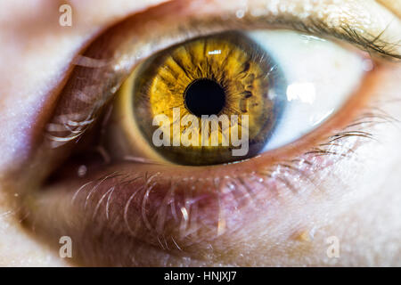 Occhio marrone close up Foto Stock