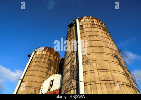 Calcestruzzo due silos per il grano su un vecchio fienile Foto Stock