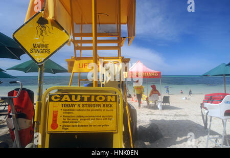 Segnali di avvertimento di pericolo di stinger marine alla stazione di benedizione, Isola Verde, Great Barrier Reef Marine Park, vicino a Cairns, Queensland, Australia. No signor Foto Stock