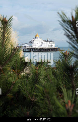 Eastbourne Pier dalla promenade conun abete in primo piano Foto Stock