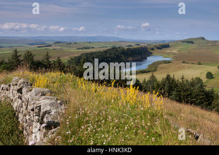 Il Vallo di Adriano: una vista estiva a ovest da Hotbank dirupi, guardando oltre il greppo Lough e sul verso Winshields balze Foto Stock