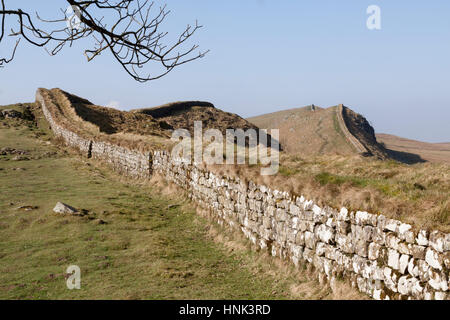 Il Vallo di Adriano: la vista a ovest lungo Housesteads balze e Cuddy's Crags, visto dal bordo del legno un poco a ovest di Housesteads Roman Fort Foto Stock